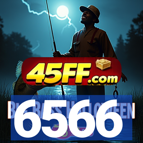 6566