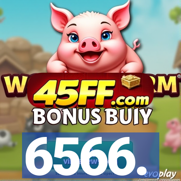6566.