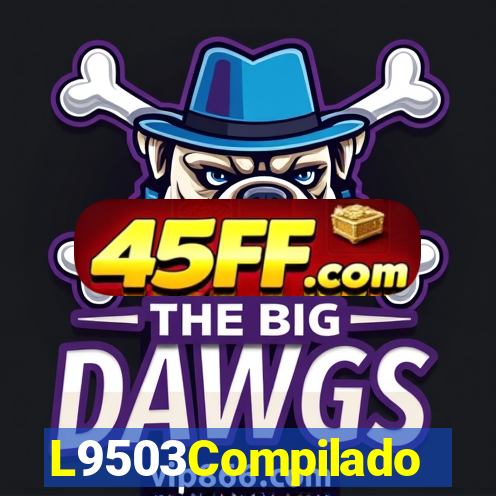 L9503Compilado