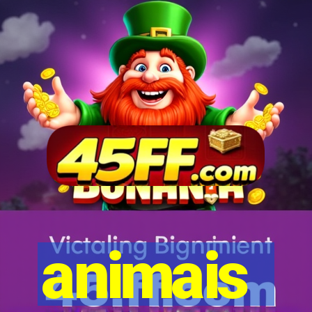 animais-pg.com