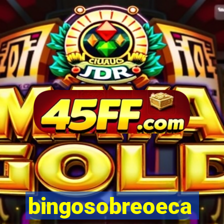 bingosobreoeca