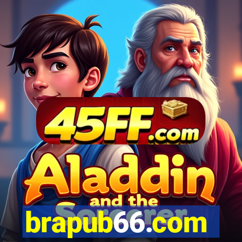 brapub66.com