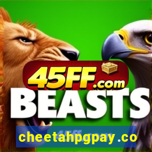cheetahpgpay.com