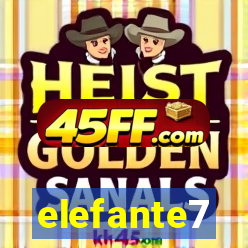 elefante7