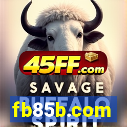 fb85b.com