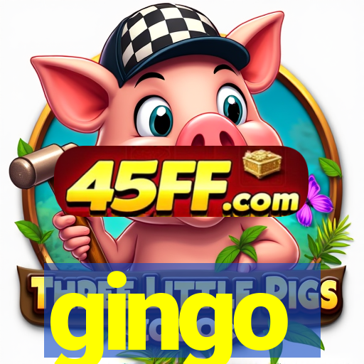 gingo