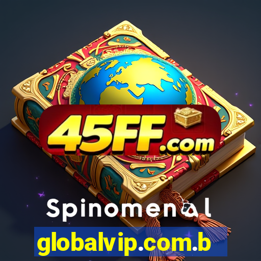 globalvip.com.br