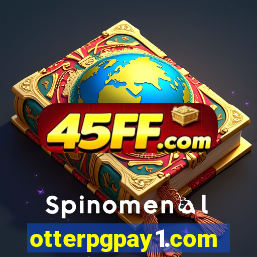 otterpgpay1.com