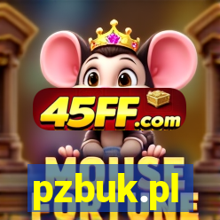 pzbuk.pl