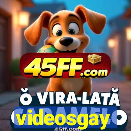videosgay