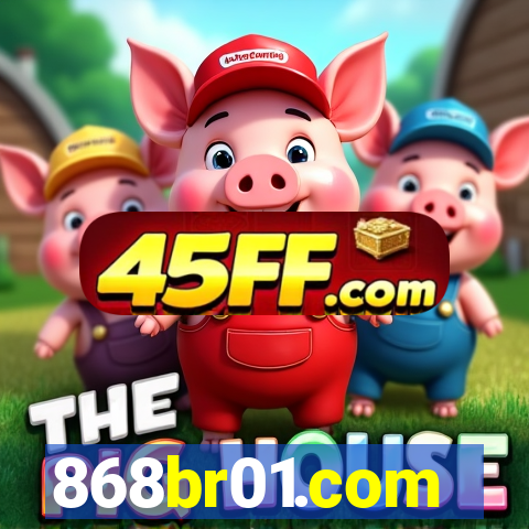 868br01.com