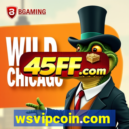 wsvipcoin.com